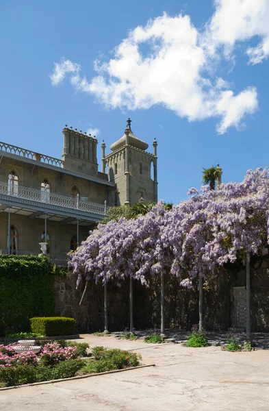Old palace yard and violet blossom