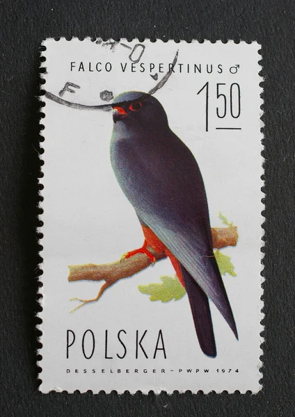 Polish post stamp