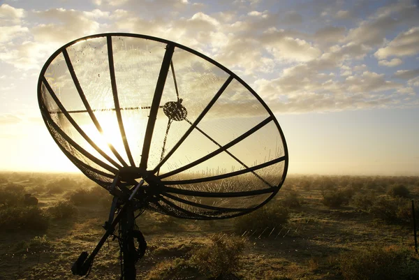 Satellite TV antenna in morning dew