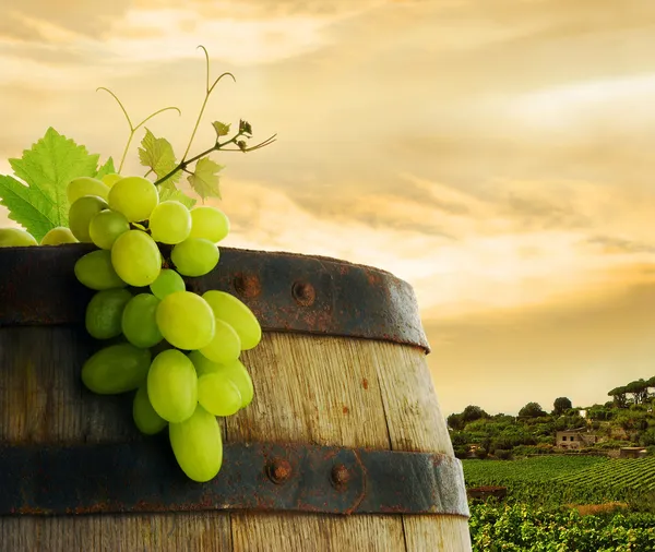 Wine barrel, grapes and vineyard