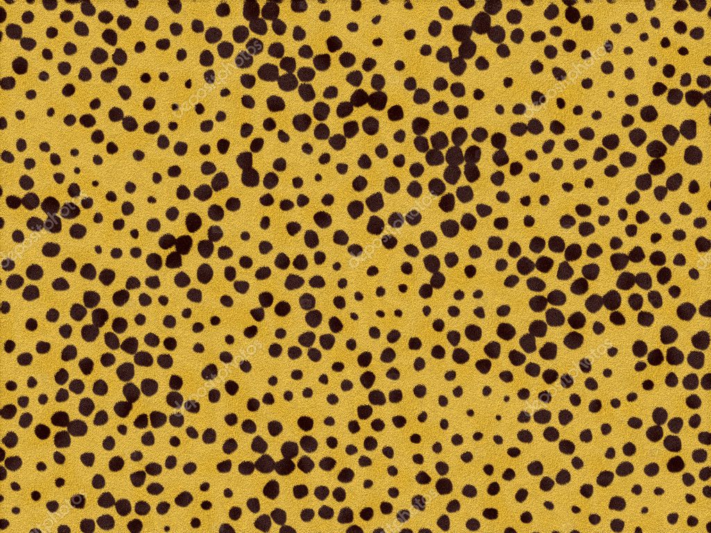 cheetah skin