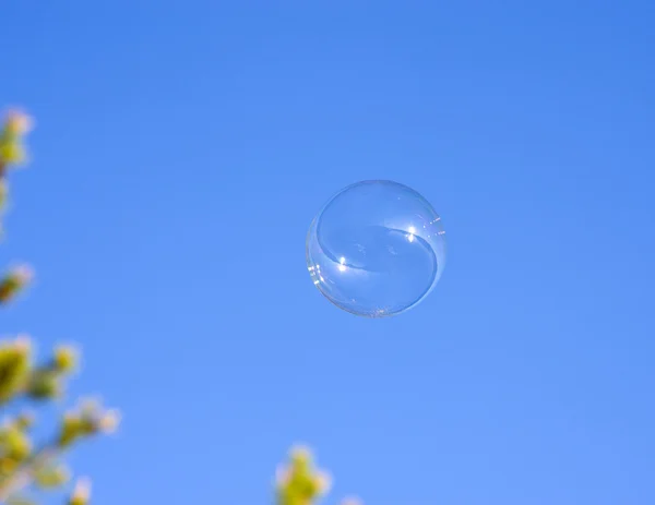 Bubble flies on blue sky background