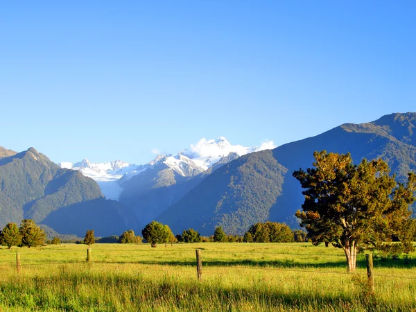 Mount Cook and Mount Tasman, NZ