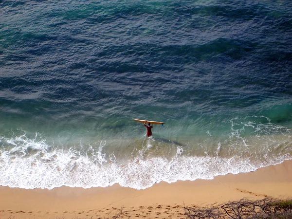 Aerial of Surfer carrying surfboard