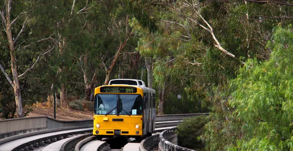 Bus on the O-bahn Track, Australia