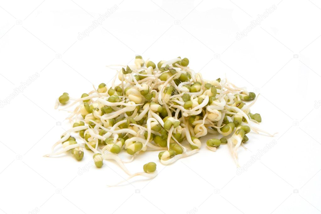 Fresh Bean Sprouts — Stock Photo © clemmesen 2267096