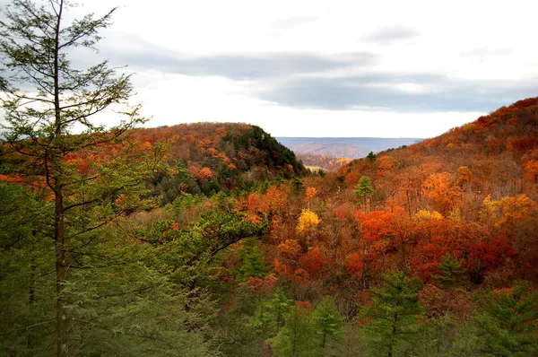 Autumn Hills of West Virginia