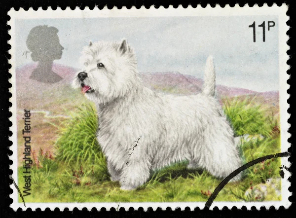 British Dog Postage Stamp