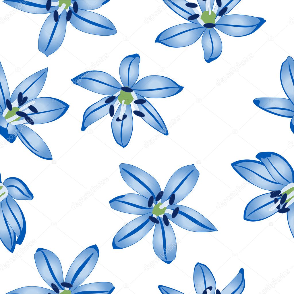 White Blue Flowers