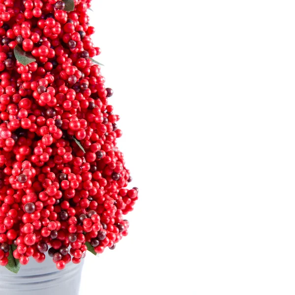red berry tree