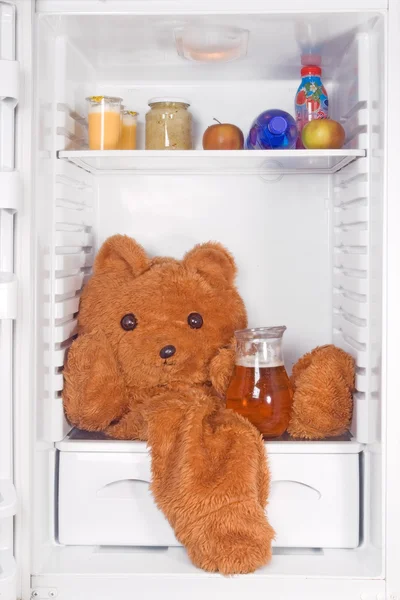 Teddy bear in the refrigerator