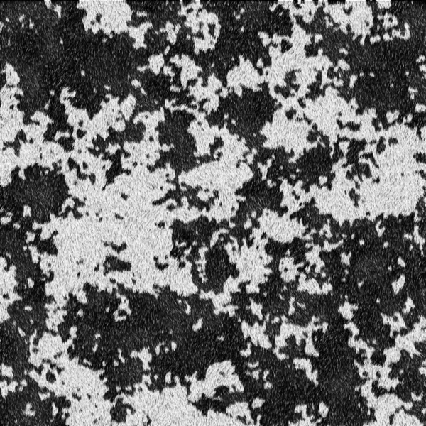 Black and white fur texture