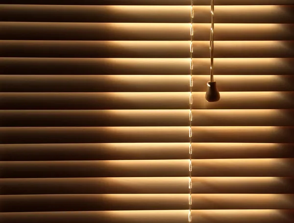 Closed venetian blinds background