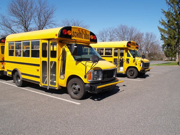 Two yellow school buses