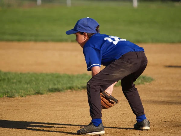 Young little league baseball infielder