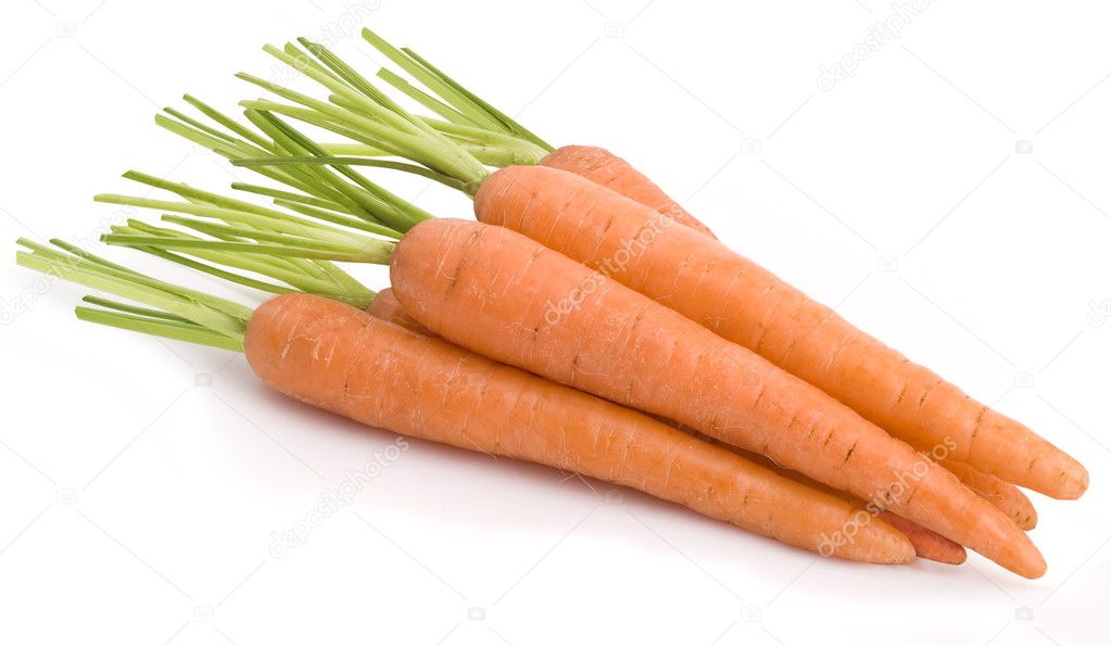 Carrot Group 116