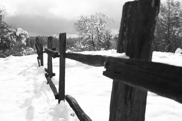Old wood fence in the snow