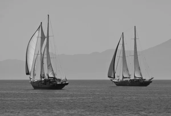 Two black and white sailboat