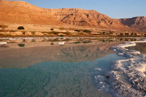 Dead Sea coast