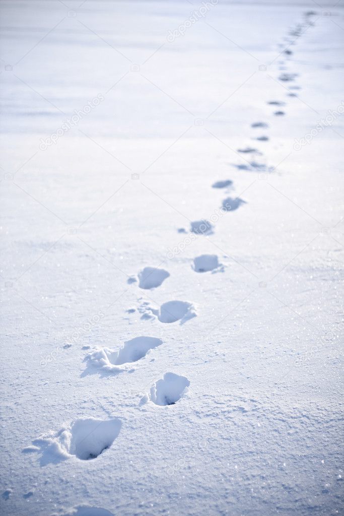 Footsteps in Snow