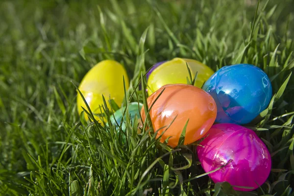 Easter Eggs in the Grass