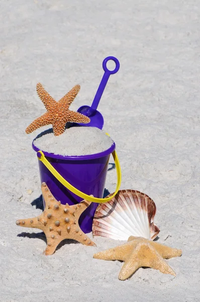 Beach Bucket with Starfish and Sea Shell