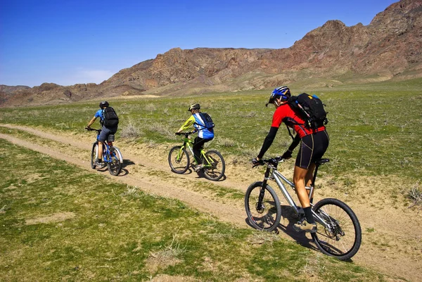 Mountain bikers in spring steppe