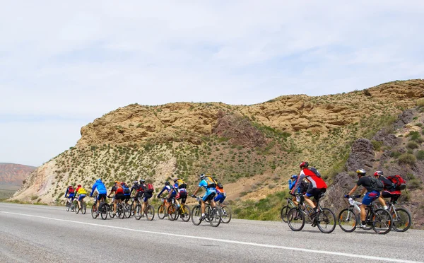 Mountain bikers group on road in desert