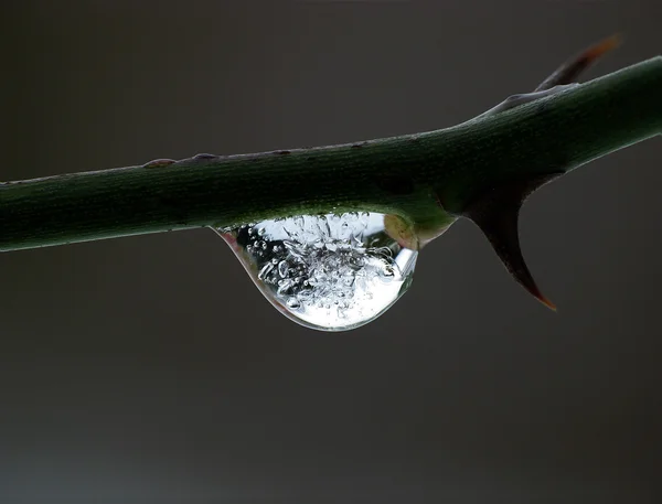 Bubbles in frozen water drop