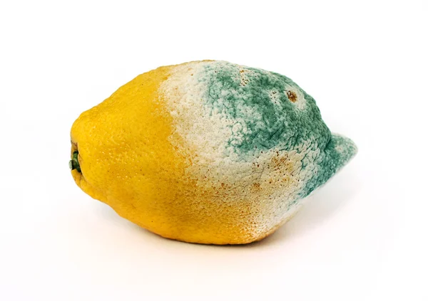 Moldy Lemon