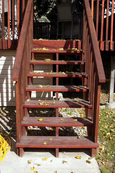 Stairs and the Leaves in Fall