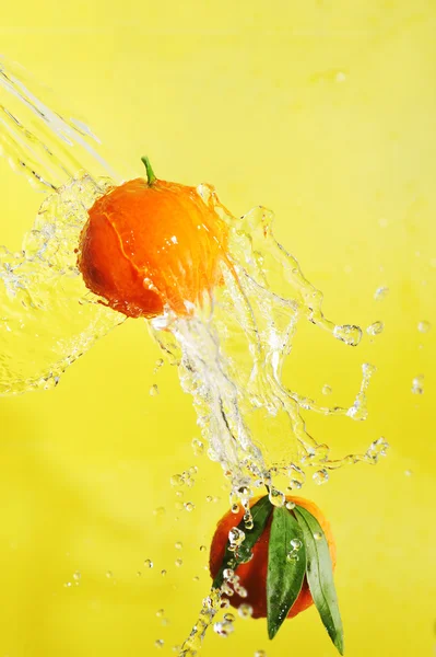 Two tangerines and water splashes — Stock Photo #2672725