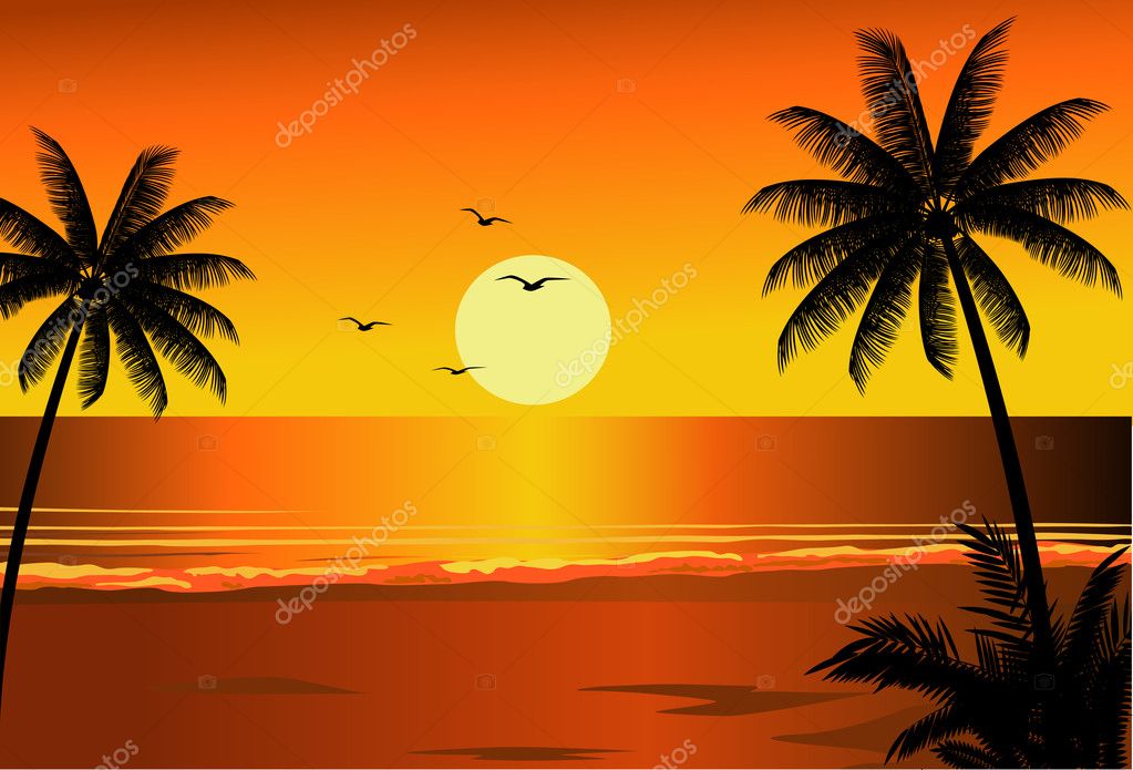 Beach sunset — Stock Vector © dagadu #2665425