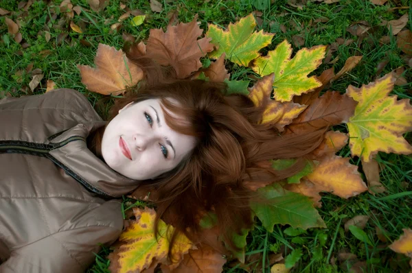 Giovane zenzero sdraiato sulle foglie d'autunno — Foto Stock
