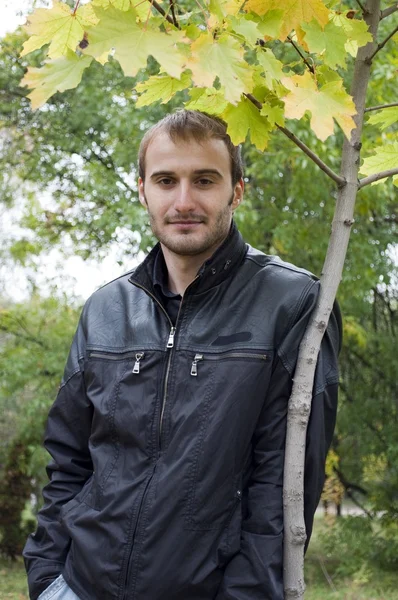 stock image Young man standing near the maple tree