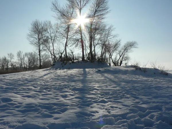 Strahlende Sonne am Wintertag — Stockfoto