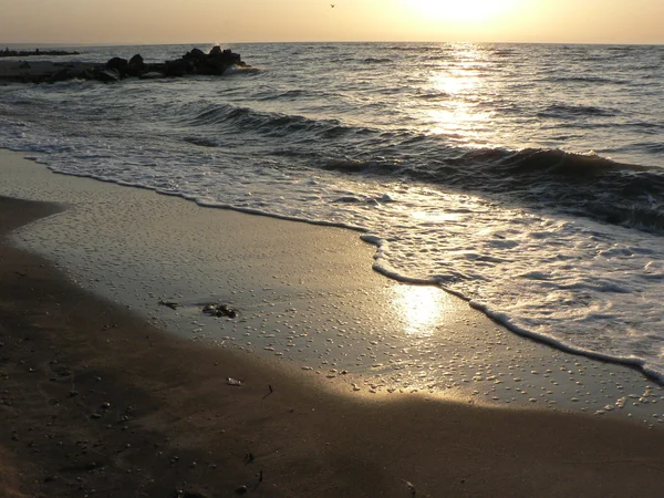 아침에 해변 — 스톡 사진