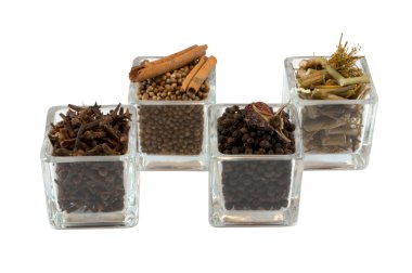 Kinds of spices clipart