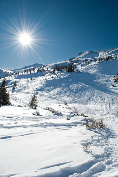 Kış dağlık manzara — Stok fotoğraf