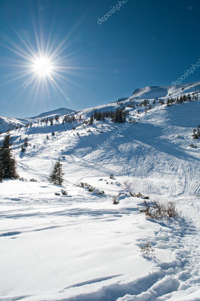 Winter mountainous landscape
