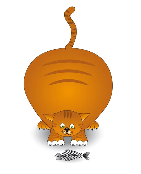 Şişko Kedi — Stok Vektör