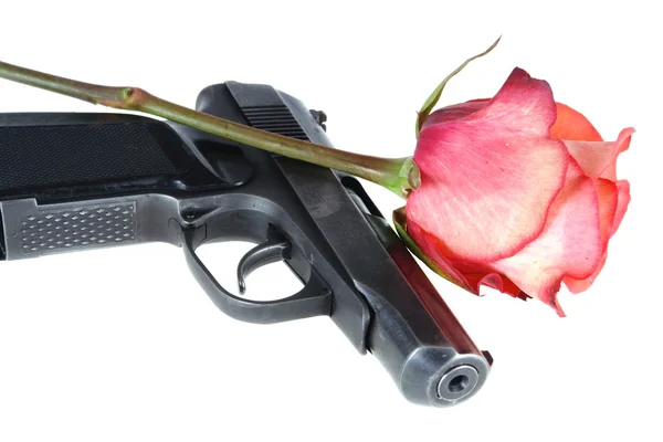 Gun Red Rose – stockfoto