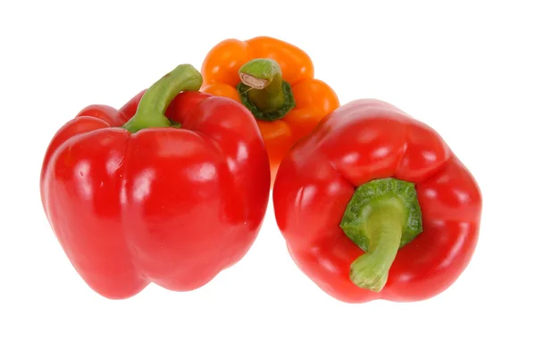 Ripe Red Peppers White Background — Stock Photo, Image