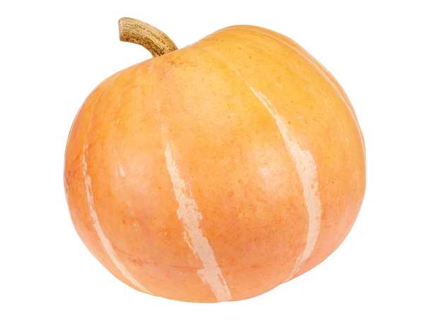 Ripe Pumpkin Isolated White Background Close — Zdjęcie stockowe