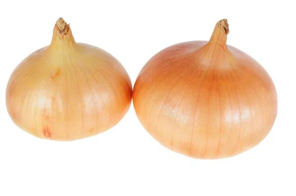 Two Onions Isolated White Stock Photo