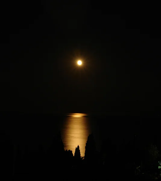 달빛 로열티 프리 스톡 사진