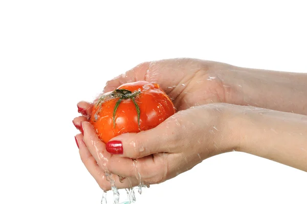 Tomat i palms — Stockfoto