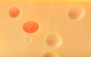peynir arka delikleri 
