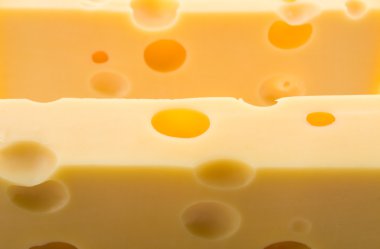 macro photo of a piece of cheese 