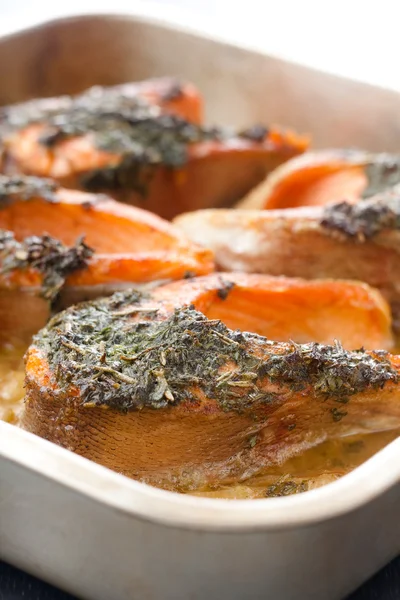 Baked Salmon Herbs — Stock Photo, Image